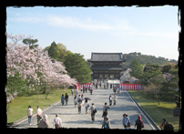 Sakura Matsuri