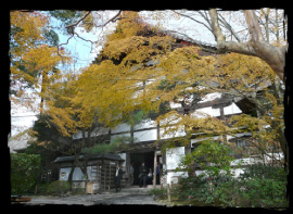 Kuri (priest residence)