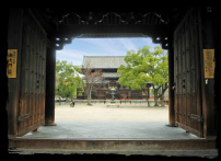 The Kondo Hall seen from the Nandaimon Gate
