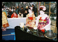 Baikasai (Ume Blossom Festival) Outdoor Tea Ceremony
