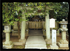 Tomojisha Shrine Torii Gate