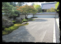 Hojo garden "Toranoko-watashi-no-niwa"
