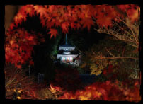 Eikando Temple Light Up