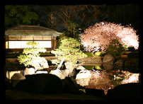 Illumination (Seiryu-en Garden)