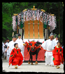 Kamo Matsuri (Aoi Matsuri) ox carriage