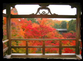 The leaves of autumn seen from the Tsutenkyo Bridge