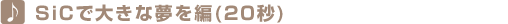 SiCで大きな夢を編(20秒) SiCで大きな夢を編(20秒)